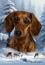 Dachshund Red SH Winter Wonderland Flag