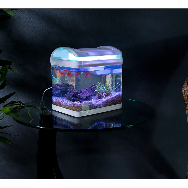 Betta Aquarium Set Mit LED Beleuchtung - Komplettset Für Zierfische (30x13x18,5 Cm)