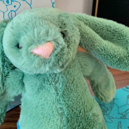  Bashful Ivy Bunny ぬいぐるみ s-l1200.jpg