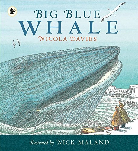 Big Blue Whale (Nature Storybooks)-Nicola Davies, Nick Maland, 9 - Picture 1 of 1