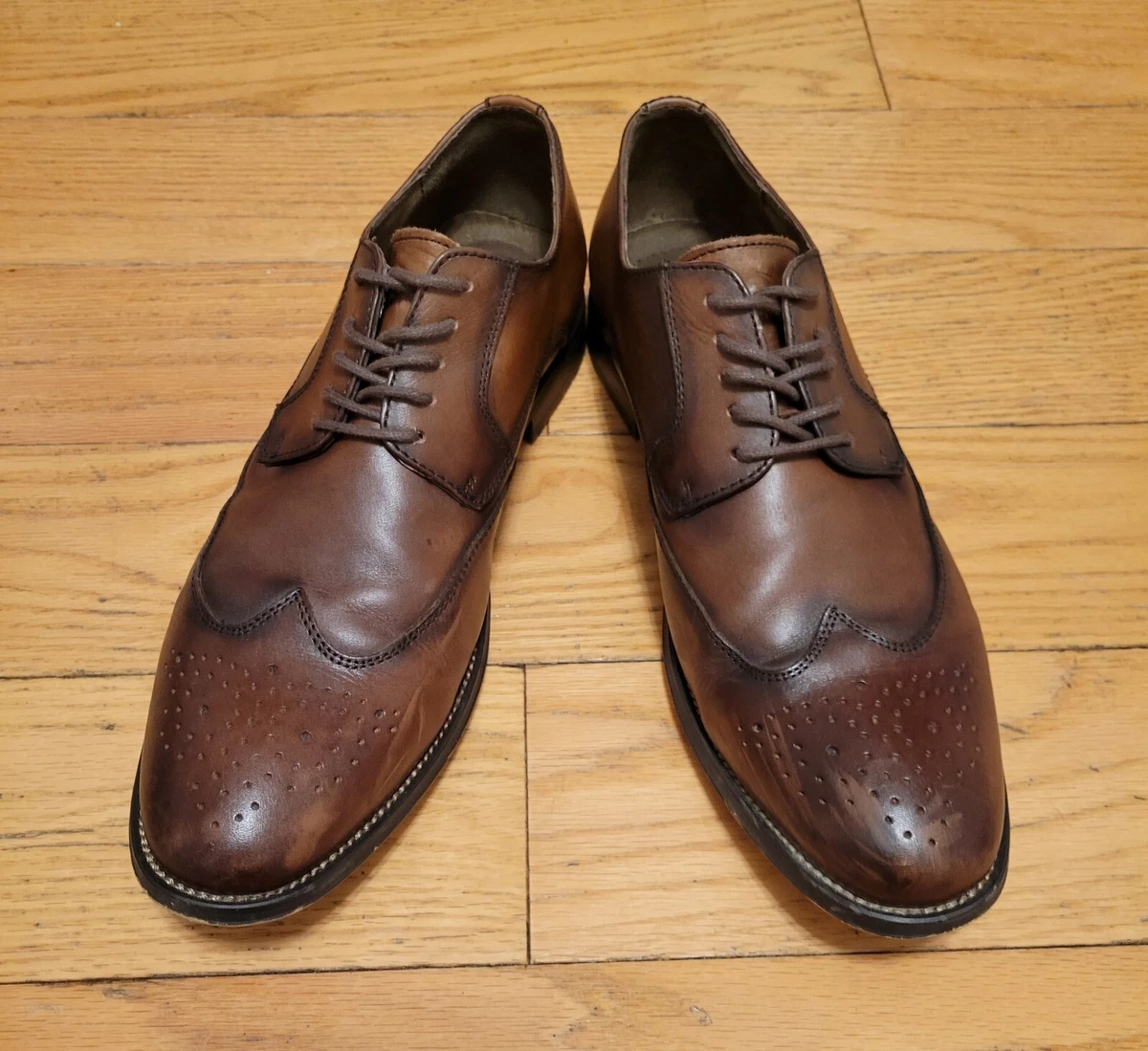 Asher green shawn wingtip sale