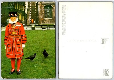 Tower of London Yeoman Warder Beefeater & Ravens Postcard 1960s