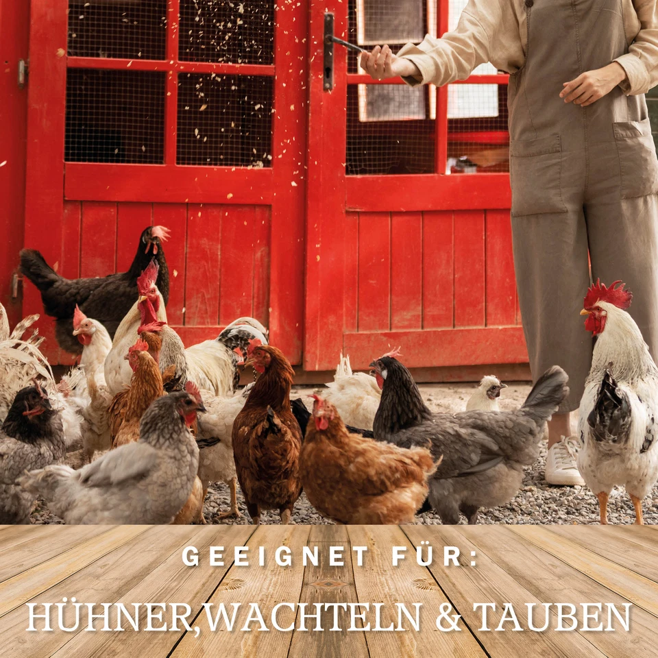 Muschelgrit Muschelschrot Hühnergrit - Ostrea 1-2,5 mm 25kg Muschelschalengrit - Bild 3 von 4