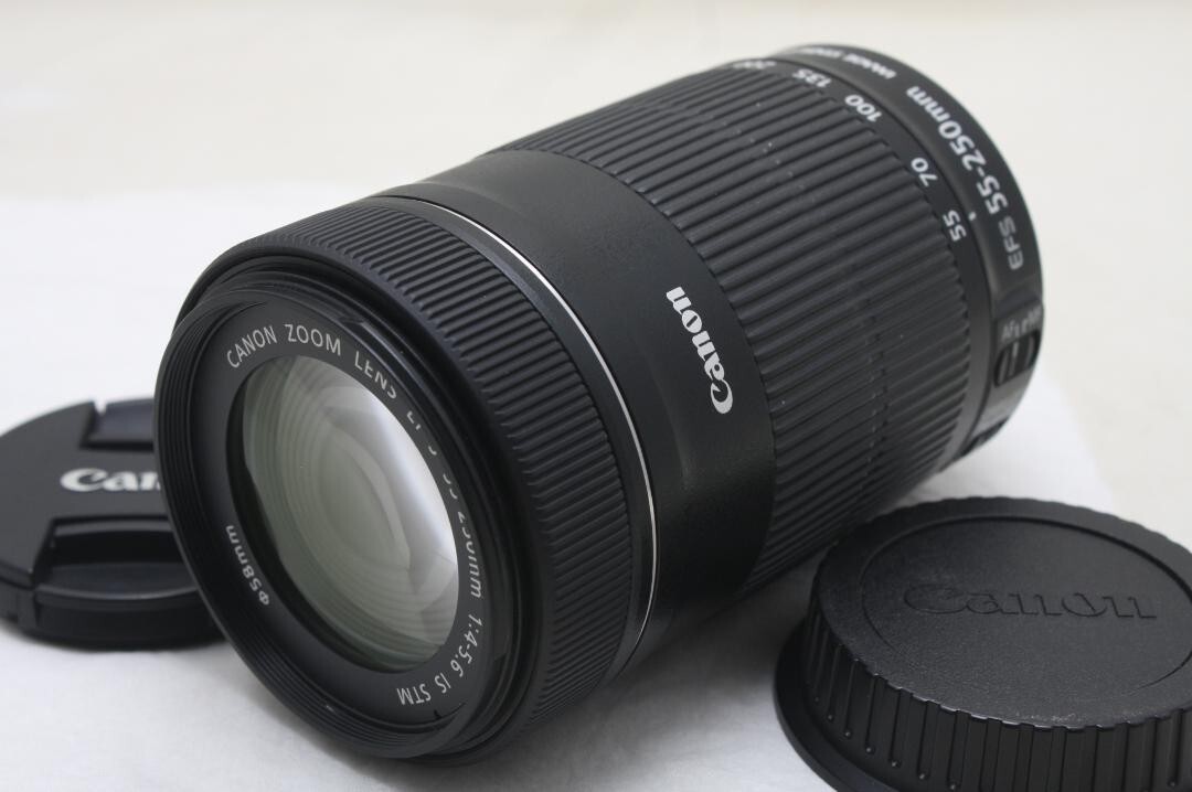 Canon EF-S 55-250mm F4-5.6 IS STM 1220 Canon EF-S 55-250mm