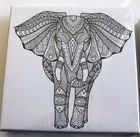 Picture 4 of 9
