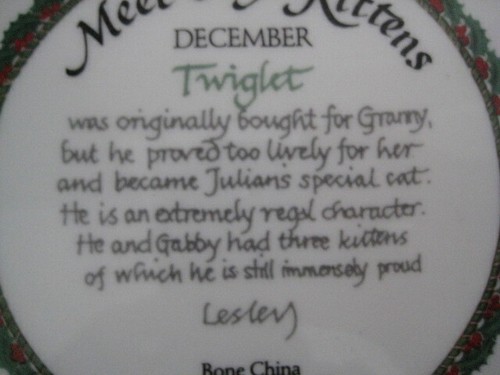 LESLEY ANNE IVORY LESLEY'S CATS COLLECTOR PLATE MEET MY KITTENS DECEMBER TWIGLET - Picture 11 of 11