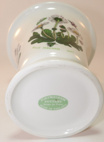 Portmeirion Botanischer Garten 5 1/2" Cachepot Vase Bellis Perennis Gänseblümchen 1980er Sehr guter Zustand - Bild 5 von 5