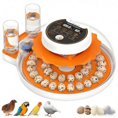 Quail Egg Incubator with Automatic Turner and Humidity Control, 40 Egg Capacity