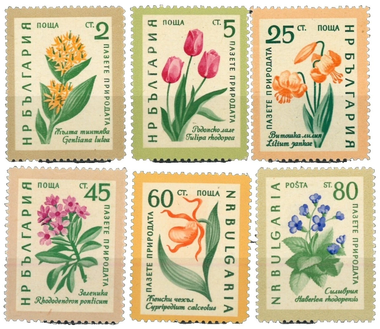 Estampillas postales de Flores búlgaro