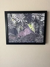 20x16 Morning Dove siting on her nest in Colorado this is a great USA product 