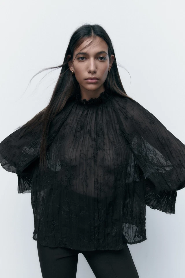 Zara Embroidered Semi Shear Boho Balloon Sleeve Black Blouse Size S