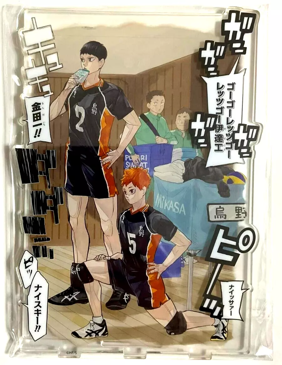 900+ Haikyuu!! ideas in 2023  haikyuu, haikyuu anime, haikyu!!