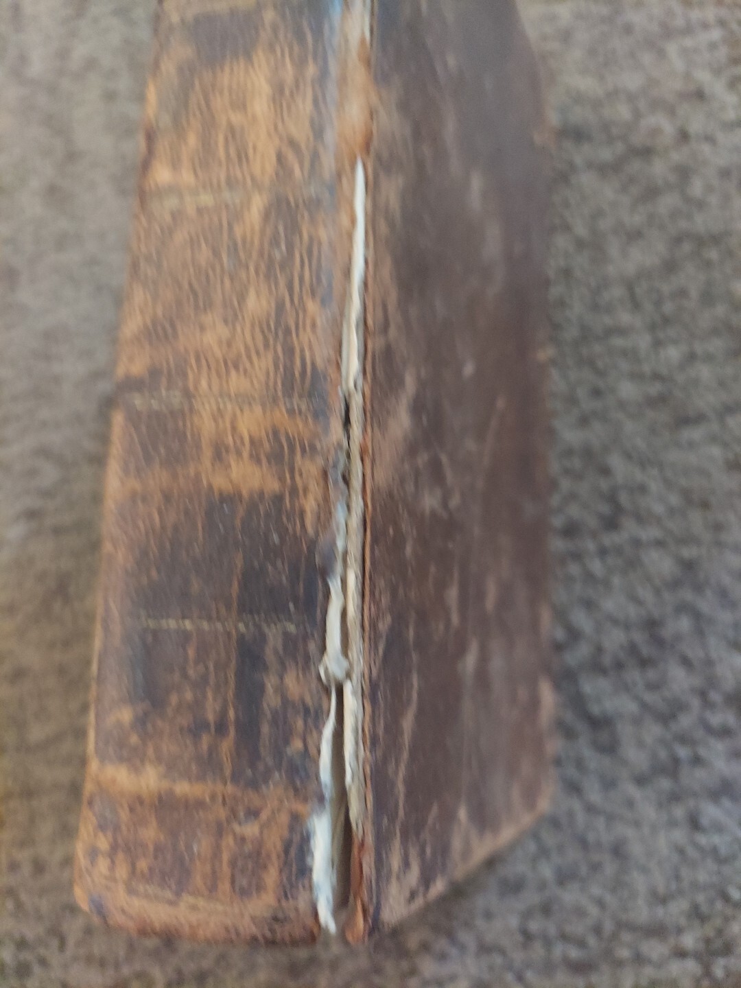 Picture 3 of 13