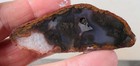 Woodward Ranch Plume 5.5 oz. Agate lapidary faced rough lot Ja4 — photo 6