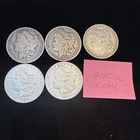 lot of 5 morgan silver dollars