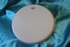 Remo 11" Banjo Head, Low Collar, Coated, BJ-1100-L1