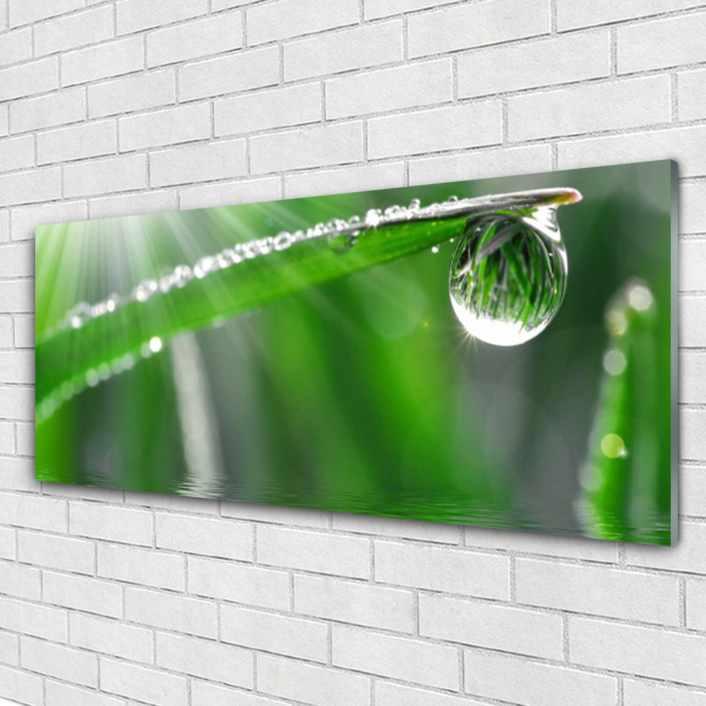 Impression sur verre acrylique 125x50 cm tableau de maître moderne floral