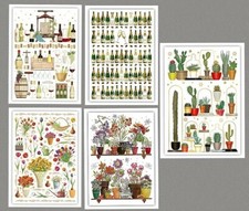 Quire*Postcard*Hot Air Balloons*Flower Bouquets & Tulips*Cacti*Wine*10 x15cm*