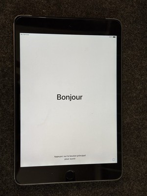 iPad Mini 4 (16 GB - WiFi+Cellular - Model #MK7W2LL/A) [USED - FULLY FUNC.]