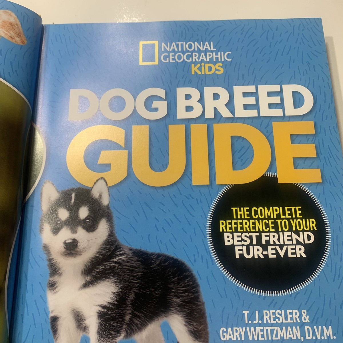 Dog Breed Guide: A Complete Reference to Your Best Friend Fur-Ever