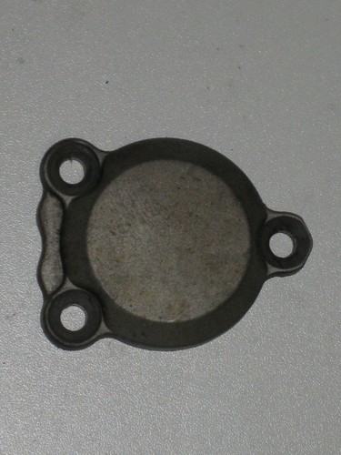 Yamaha YZF 1000 Thunderace Kurbelwellendeckel, Motordeckel