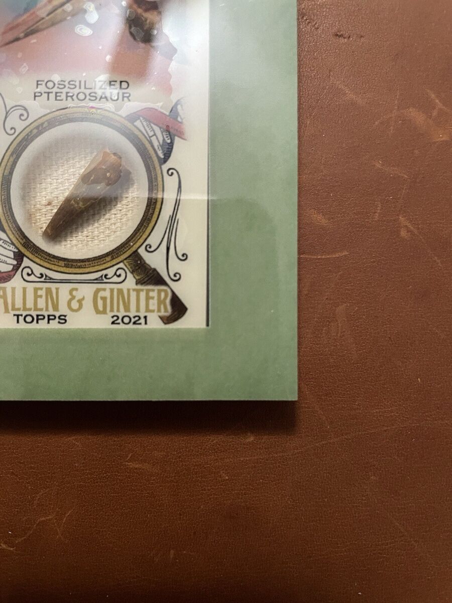 2021 Allen & Ginter Pterosaur Relic DNA !! 3/10 | eBay 2021 Allen & Ginter Pterosaur Relic DNA !! 3/10 | eBay