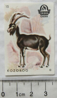 Vintage Matchbox Label - Drava Osijek - Kozorog
