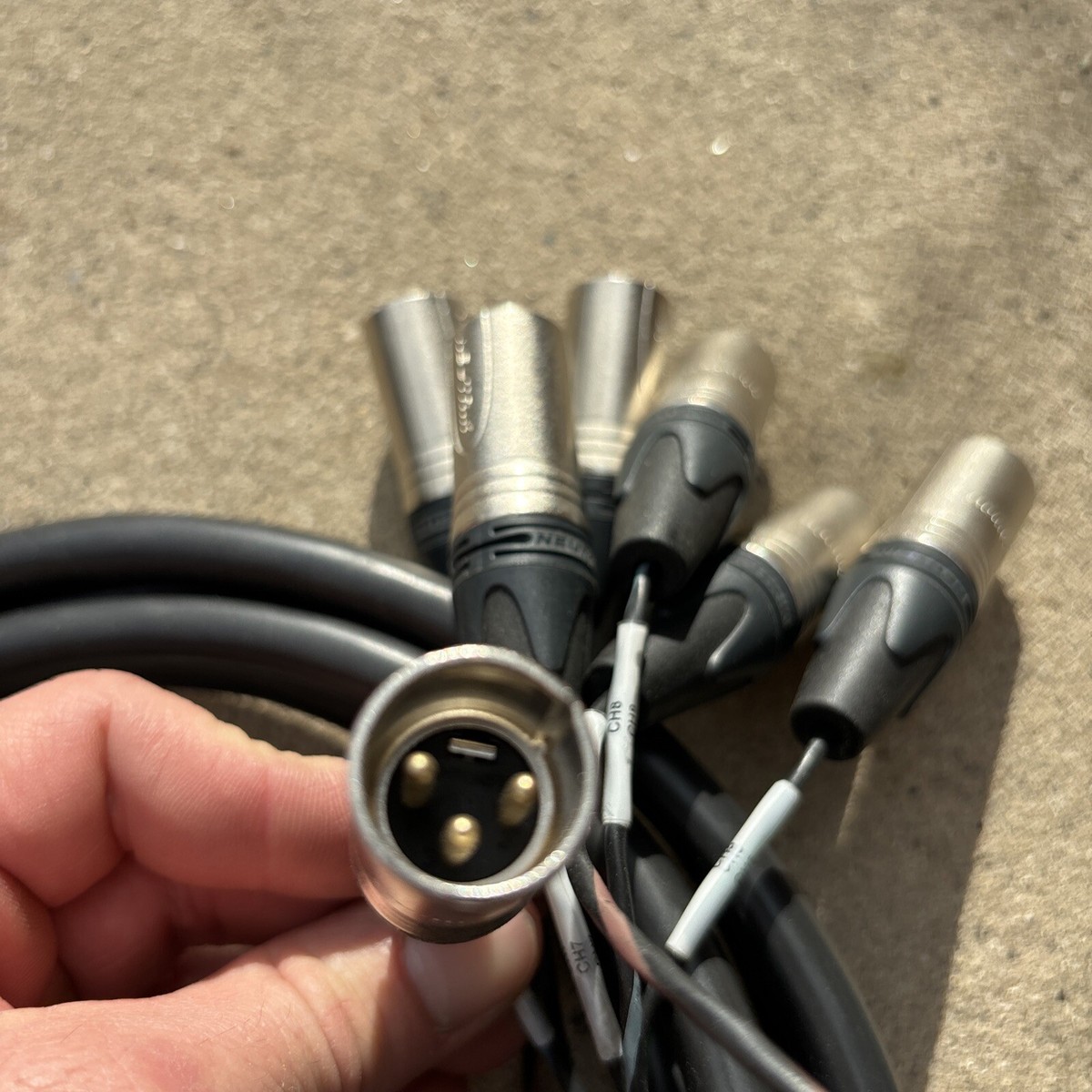 Canare MR202-8AT 8 Multicore Analog Snake Cable | D-Sub 25