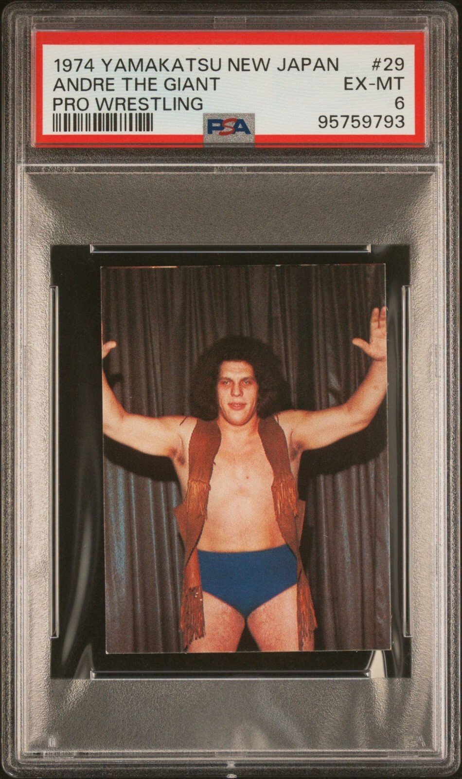 1974 Yamakatsu Andre The Giant #29 PSA 6 RC Rookie