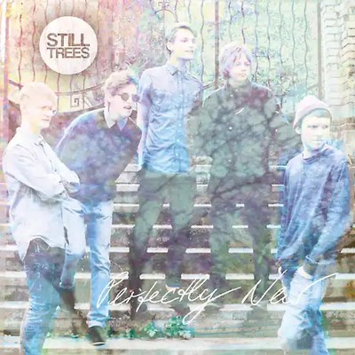 Still Trees - Perfectly New