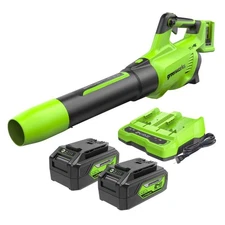 Greenworks 48V (2x24V) 585CFM Leaf Blower w/ (2) 4Ah Battery & DualSlot Charger