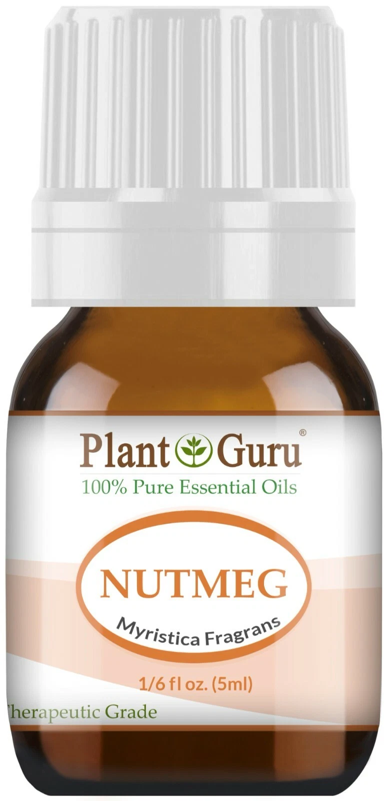 Nutmeg