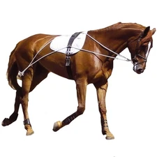 Ultimate Horse Lunging Training Aid System Lunge Equipment (Cob/Horse, Black)