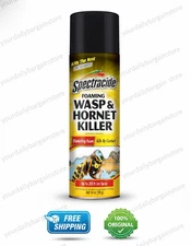 14 oz. Foaming Wasp and Hornet Insect Killer Aerosol Spray