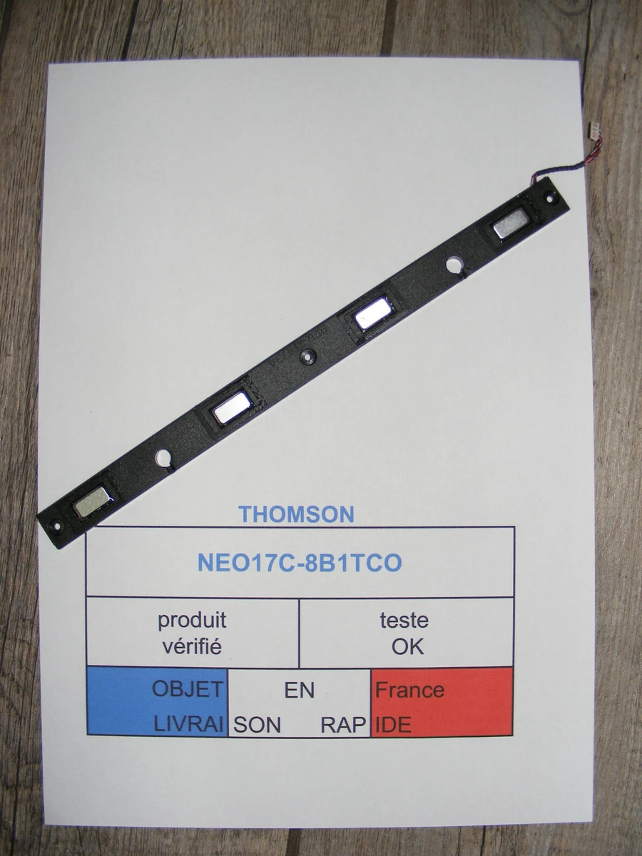 Écran LCD Thomson Neo17C D'origine – Complet Avec Charnières Et Caméra – Occasion