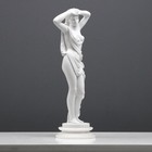 Foto 7 di 9