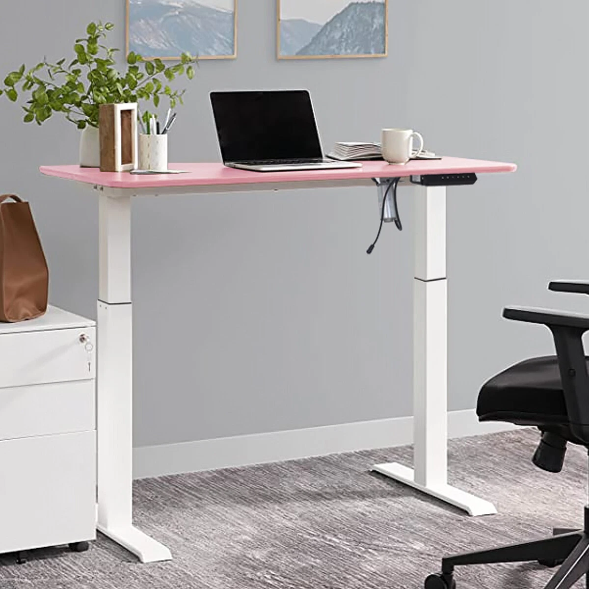 55 Electric Adjustable Standing Desk Computer Desk Home Office