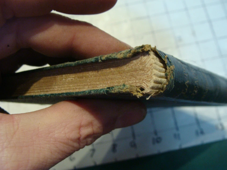 Vintage School Book-A LATIN READER, by Albert Harkness 1874 clean inside - Image 3 of 4