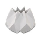 Foto 1 di 2
