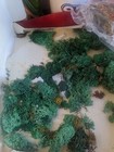 Picture 6 of 6
