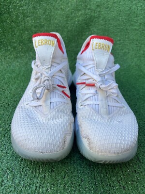 Nike Lebron XVI 16 Low  display picture 1