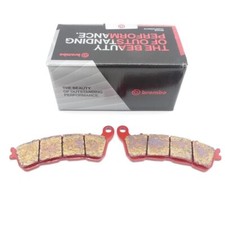 Brembo Bremsbelag Bremsbeläge Bremsklötze hinten für Honda CBF 1000 ABS SC58