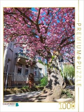 CALVENDO Puzzle Die Stresemannstrasse im Bl tenzauber. 1000 Teile Puzzle hoch 