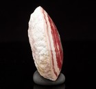 Polished Rhodochrosite Stalactite Slice Pink Geode Rare Argentina 50mm 69g C0219 — photo 6