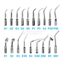 Dental Scaler Scaling Endo Perio Tip SB G P E fit for Woodpecker DTE EMS NSK