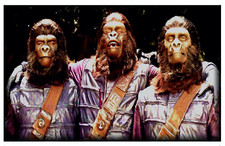 Magnet #555 Planet Of The Apes Group Photo Go Ape! Retro Snap Shot POTA