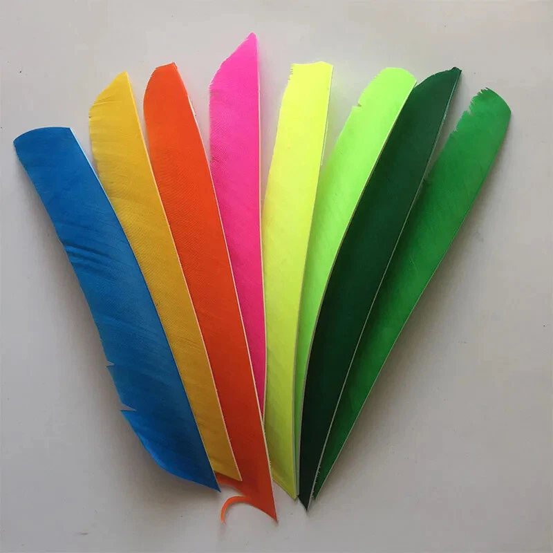 50X Full Length Arrow Feathers Turkey Fletches Archery DIY Right Left Wings - Image 4 of 4