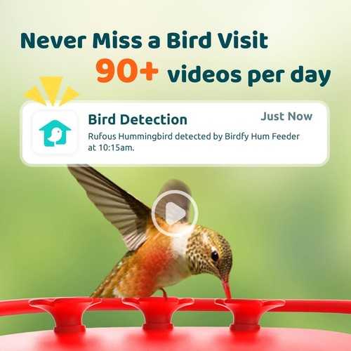NETVUE by Birdfy Hummingbird Feeder with 2 Cameras - Dual Smart Cams, 2K HD W... - Imagen 3 de 8