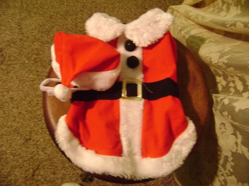 NEU OHNE ETIKETT - HUND/KATZE GRÖSSE M/L PLÜSCHTIER WEIHNACHTSMANNMÜTZE & MANTEL WEIHNACHTSOUTFIT/KOSTÜM! - Bild 10 von 10