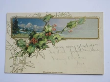 1906 Christmas Postcard - Holly and Berries Pretty UNDIVIDED Card